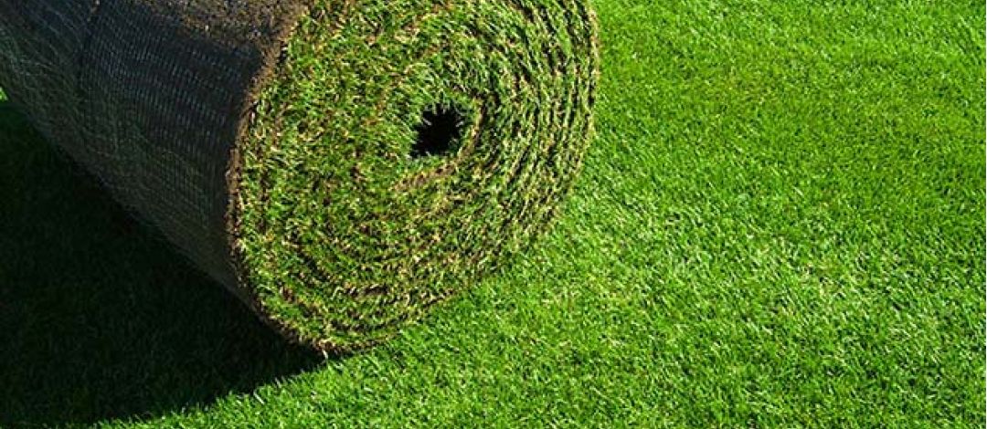 3D Sod Installation
