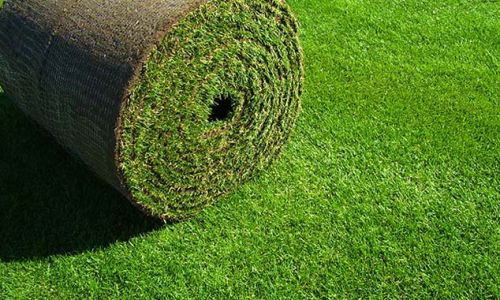 Big Sod Roll