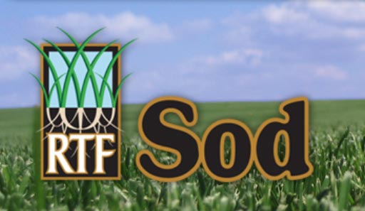 RTF Sod