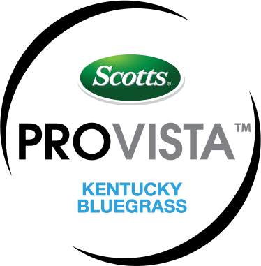 Scotts ProVista Kentucky Bluegrass